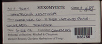 Image Associated With the Occurence